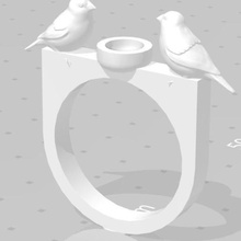 bird nest anello moda ragazza nidi di uccelli sparrow 3d print model - Mito3D