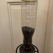 alimentador pássaros anexo animal suco garrafas reutilização automático girassóis girassol sementes semente Comida distribuidor casa jardim natural suporte canoros 3d print model - Mito3D