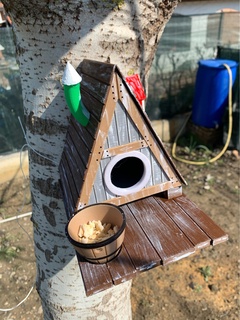 birdhouse toon tooned house cute colorful garden flowers patio bird nature home wildlife vacation 3d print model - Mito3D