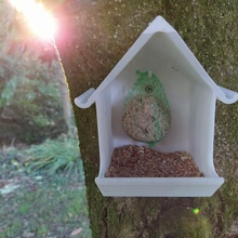 birdhouse alimentador a casa animais de estimação inverno animal oiseau natureza mangeoire idéia do agregado familiar hosuehold presente jardim pássaro passarinho birdfeeder 3d print model - Mito3D