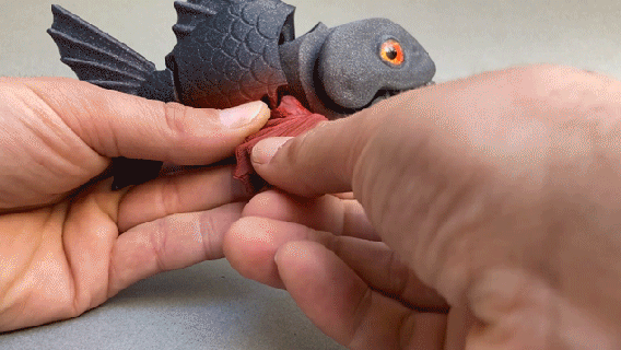 mordere piranha animale pesce acquario fiume mascotte 3d print model - Mito3D