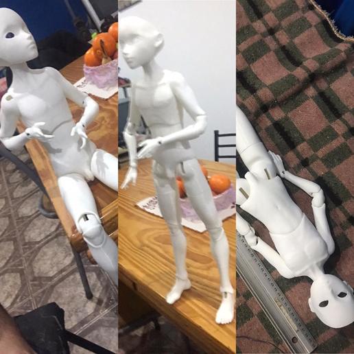 bjd poupée sexe masculin garçon 3D print model - Mito3D