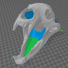 siyah ayı zar kule oyun hayvanlar dnd Zindanlar ejderhalar 3d print model - Mito3D
