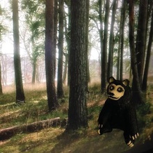 l'ours noir jeu 3d print model - Mito3D