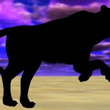 schwarz Panther Animation 3d print model - Mito3D