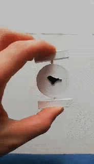 branco rotativo moeda ilusão flipcoin engatado passarinho cela brinquedo 3d print model - Mito3D