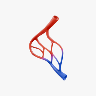 sangre buque anatomía vena capilar venas vascular humano vasos sanguineos capilares paredes arteriolas artería vasculatura cardiovascular sistema arterial corazón rojo guirnalda médico 3d print model - Mito3D