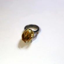 de la flor.la joyería.anillo.de flor.botánico.floral 3d print model - Mito3D