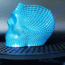 blowfish toca discos fotogrametria ferramenta dslr 3d print model - Mito3D