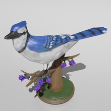 blue jay Kunst Spatz Taube raven Flügel Fliegen im freien wildlife Natur Vogel 3d print model - Mito3D