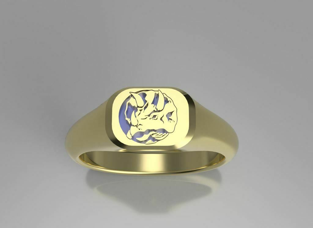 bleu Puissance ranger sceau bague bijoux rangers anneaux 3D print model - Mito3D