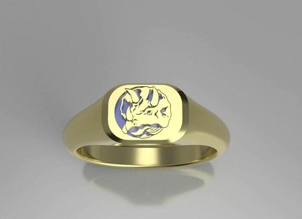 blu energia ranger sigillo squillare gioielleria anelli 3d print model - Mito3D