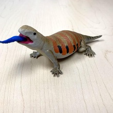 blue tongued skink art lizard 3d print model - Mito3D