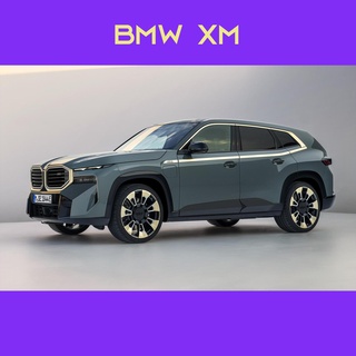 bmw xm Game flexible flexi toy articulated print factory animal realistic sea ocean green flexy games toys 3d print model - Mito3D
