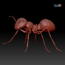cuerpo hormiga stl 3d impresión 3d print model - Mito3D