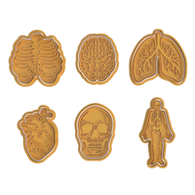 body organs cookie cutter set 6 heart skeleton rib lungs brain skull 3d print model - Mito3D