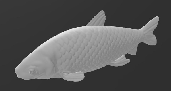 inseto peixe 3d print model - Mito3D