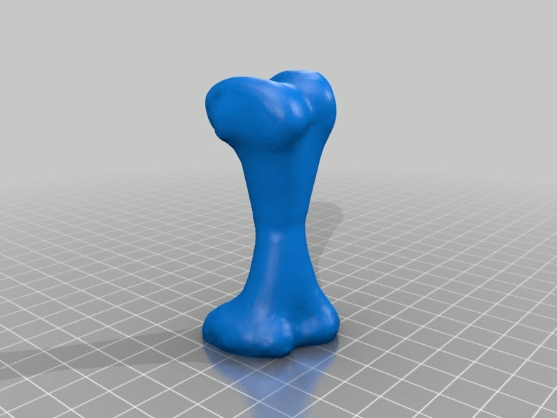 Knochen Stempel Büro 3D print model - Mito3D