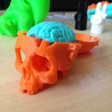 boneheads ne crâne zone du cerveau via 3dkitbashcom gadget 3d print model - Mito3D