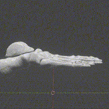 Knochen Fuß Anatomie 3d print model - Mito3D