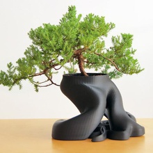 bonsaï planteur la maison 3d print model - Mito3D