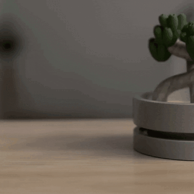 bonsai maceta planta flor decoración regalo roca minimalista zen 3d print model - Mito3D