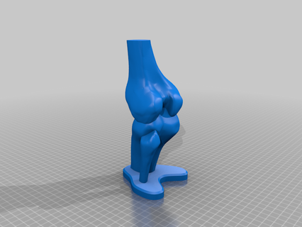 ossudo joelho medicamento anatomia ortopedia biomodelo 3d print model - Mito3D