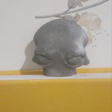 signet livre poulpe visage animal 3d print model - Mito3D