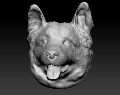 frontera collie perro animales mascotas 3d print model - Mito3D