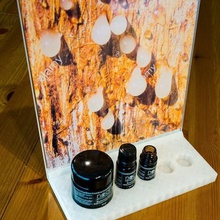 bosswelia sacra aceites esenciales de stand exposición varios 3d print model - Mito3D