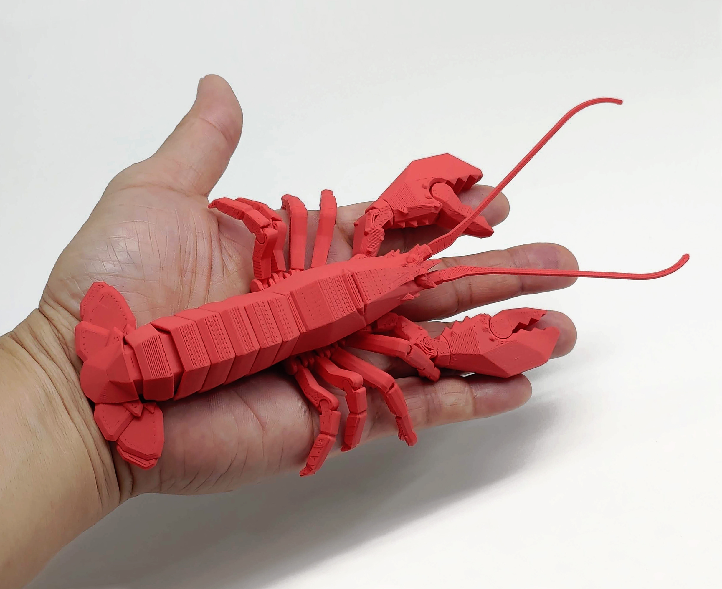 Boston Istakoz hayvan oyuncak düşük poli matematik Sanat 3D print model - Mito3D