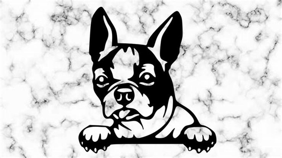 boston terrier Home dog wall 3d print model - Mito3D