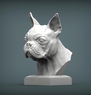 boston terrier 3d print model bust dog nature mammal animal pet sculpture statuette souvenir present sculpt art sculptures statue 3d print model - Mito3D