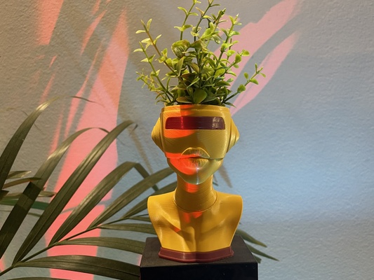 bot flower pot bust garden cyber sculpture statue home decoration decor plant head art planter modern table vase 3d print model - Mito3D