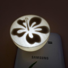 boufiole n8 hibiscus jeu smartphone la lumière spotlight sens 3d print model - Mito3D