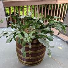 bourbon barrel de la maceta casa jardín al aire libre flores el barril 3d print model - Mito3D
