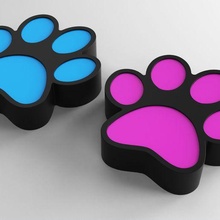 box - big cat paw 3d print model - Mito3D
