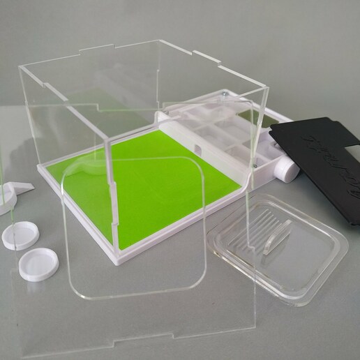 Box Ameise v3 4ants Formicarium Ameisenhaufen Formicario Ameisen 3D print model - Mito3D