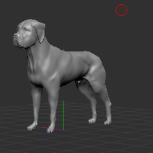 boxeur animal chien compagnie 3d print model - Mito3D