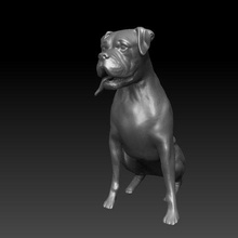boxeur chien 3d print model - Mito3D