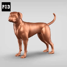 boxer cão v1 arte animal brinquedo estatuetas 3d print model - Mito3D