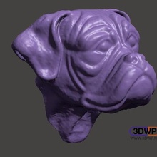 boxer de la cabeza del perro con pared soporte art Escaneo 3d animal artec boxeador meshmixer colgador las exploraciones réplicas 3d print model - Mito3D
