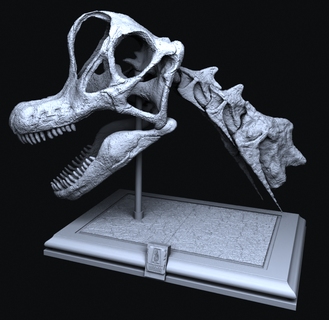 brachiosaure crâne dinosaure modèle 3d paléontologie impression passionné jurassique ère éducatif science éducation Accueil maison décor collectionner fossile réplique high detail numérique Télécharger 3d print model - Mito3D