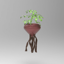 trenzado planta maceta ollas plantas trenza ficus Arte hogar casa decoración floer flores 3d print model - Mito3D