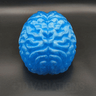 cervello costellazione labirinto puzzle stelle 3d print model - Mito3D