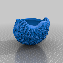 brain coral skeleton bowl planter art corals reefs plant pot smithsonian sculptures 3d print model - Mito3D