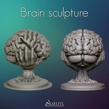 cerebro escultura 3d impresión modelo 3d print model - Mito3D