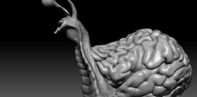 cervello lumaca arte creatura creture mutante Rick morty rickandmorty montatore 3d print model - Mito3D