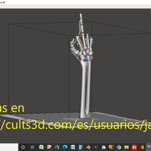 brazo esqueleto el dedo coraz en alto 3d print model - Mito3D