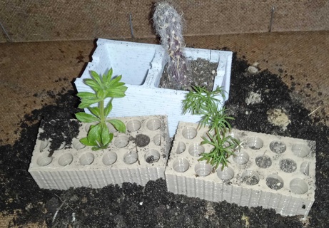 brick pot seedbed plant planter garden decoration succulent watered design gardening diorama block panel seed 3d print model - Mito3D